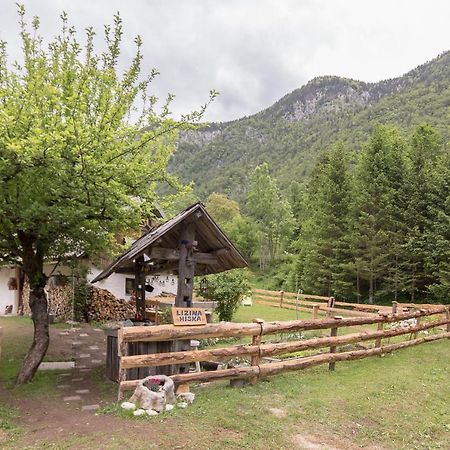 Lizina Hiska House Bohinj Villa Bohinjska Bistrica Ngoại thất bức ảnh