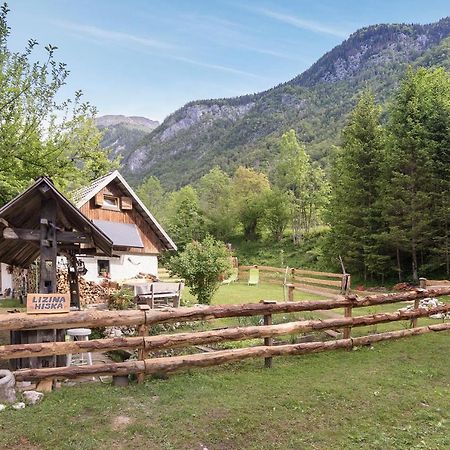 Lizina Hiska House Bohinj Villa Bohinjska Bistrica Ngoại thất bức ảnh