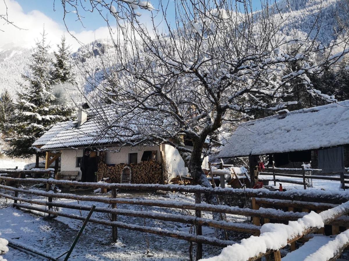Lizina Hiska House Bohinj Villa Bohinjska Bistrica Ngoại thất bức ảnh