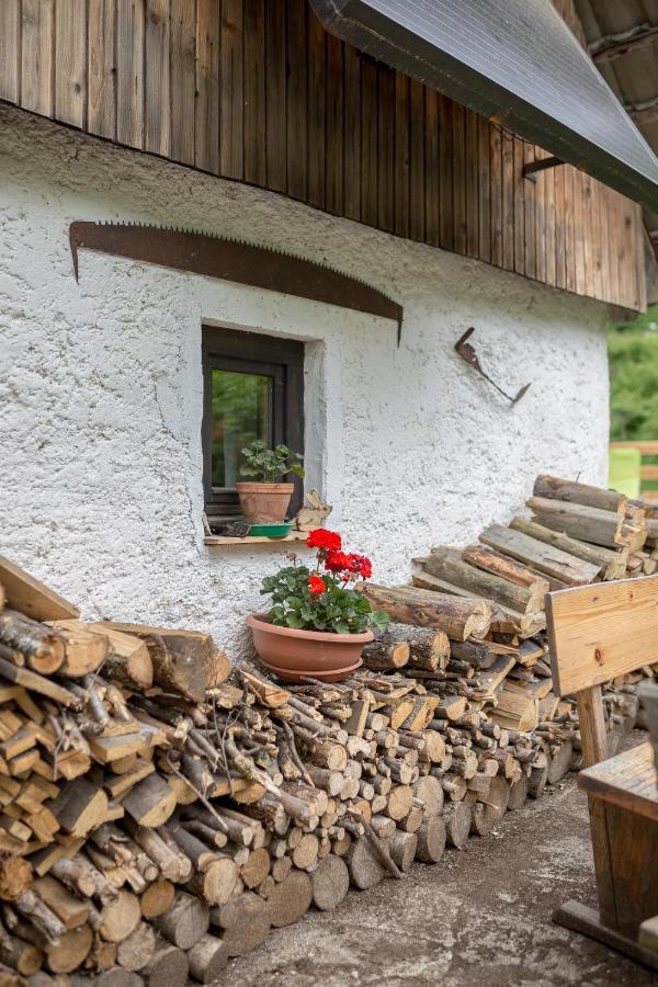 Lizina Hiska House Bohinj Villa Bohinjska Bistrica Ngoại thất bức ảnh