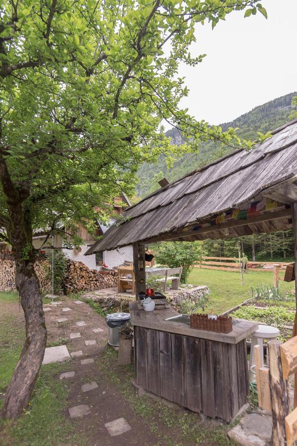 Lizina Hiska House Bohinj Villa Bohinjska Bistrica Ngoại thất bức ảnh
