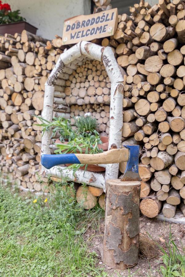 Lizina Hiska House Bohinj Villa Bohinjska Bistrica Ngoại thất bức ảnh