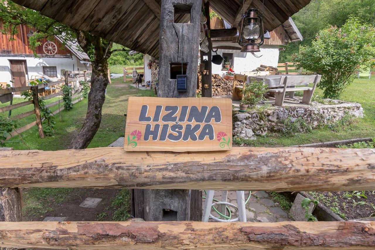 Lizina Hiska House Bohinj Villa Bohinjska Bistrica Ngoại thất bức ảnh