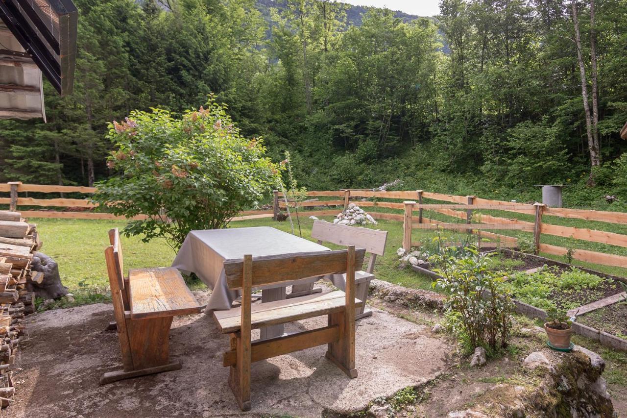Lizina Hiska House Bohinj Villa Bohinjska Bistrica Ngoại thất bức ảnh